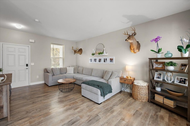 living area with baseboards and wood finished floors