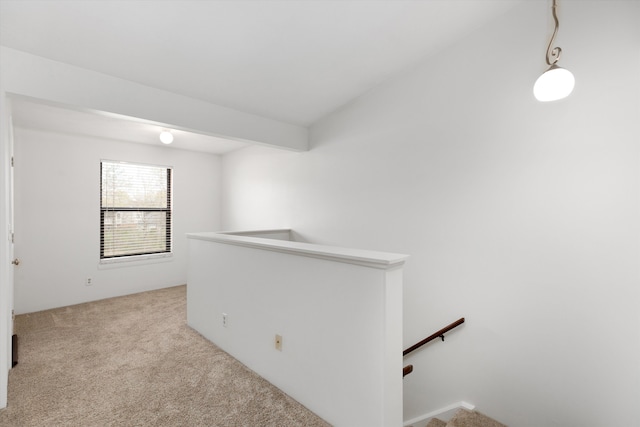 spare room with carpet floors