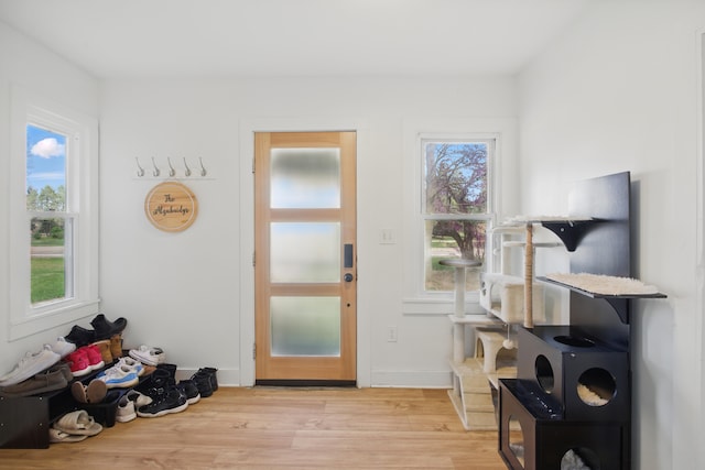 doorway to outside featuring a healthy amount of sunlight and light wood finished floors