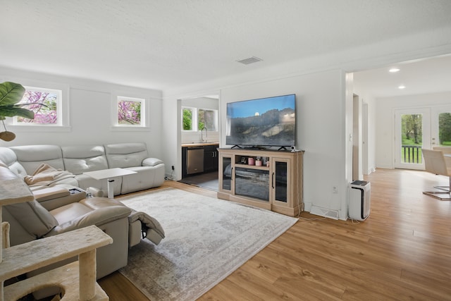 living room with a healthy amount of sunlight and light wood-type flooring