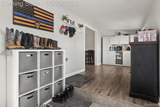 1128 Braeview Dr, Howell, MI 48843 - hall with wood finished floors