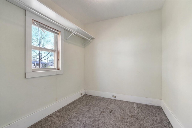walk in closet featuring carpet floors