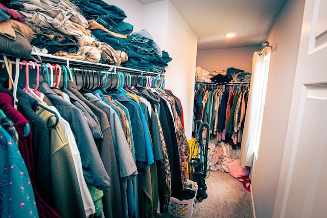 spacious closet with carpet