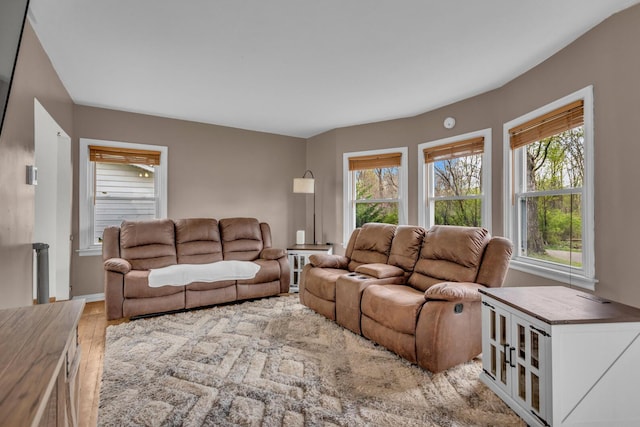 living room featuring plenty of natural light, baseboards, and wood finished floors