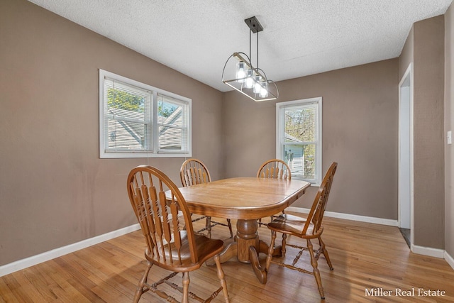 729 E Madison St, Hastings, MI 49058 - dining space featuring baseboards, light wood-type flooring, a textured ceiling, and a wealth of natural light