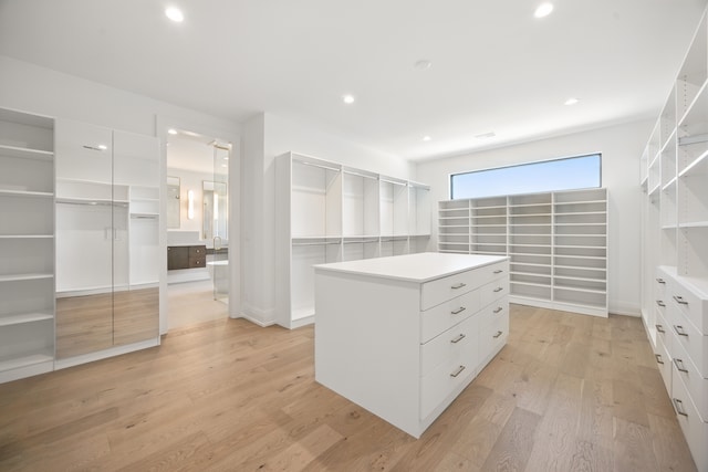 3281 Chickering Ln, Bloomfield Hills, MI 48302 - walk in closet with light wood-style flooring