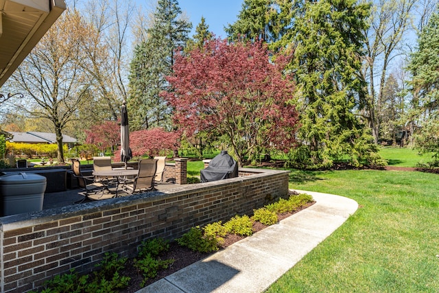 view of yard featuring a patio area