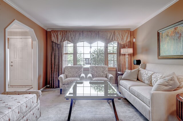 carpeted living area with baseboards and ornamental molding