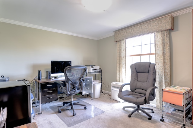 office area with crown molding, carpet flooring, and baseboards