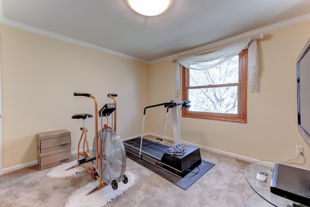 workout room featuring baseboards, ornamental molding, and carpet