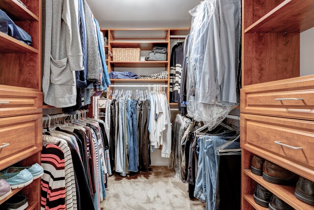 walk in closet featuring carpet flooring