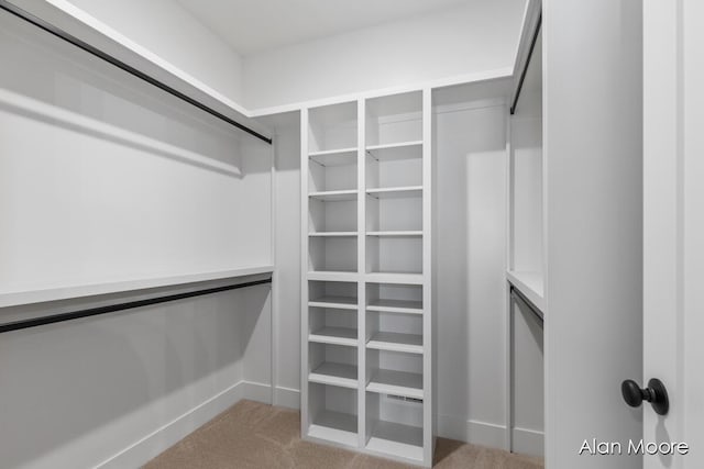 spacious closet with light carpet