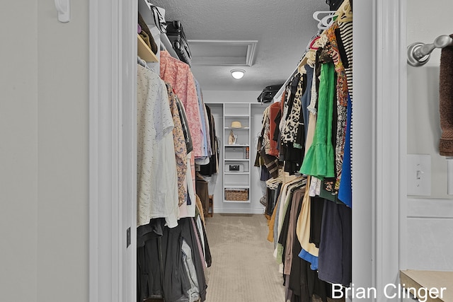 spacious closet featuring carpet floors and attic access