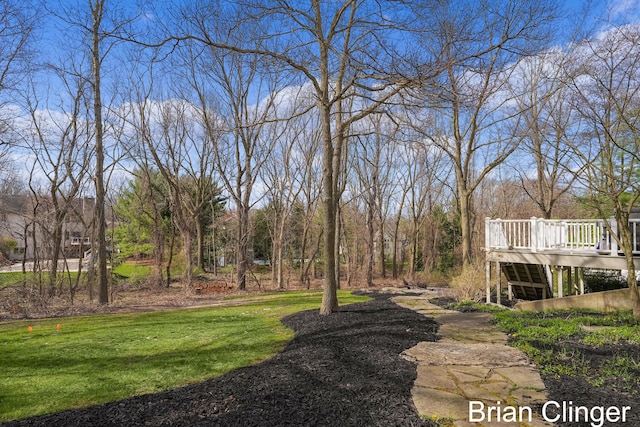 view of yard with a deck