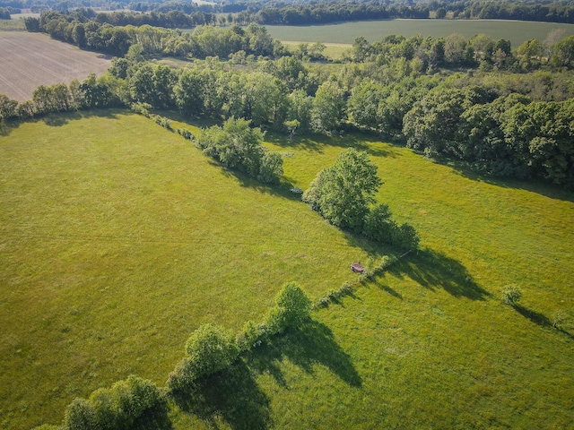 50002 M 51 N, Dowagiac, MI 49047 - birds eye view of property featuring a rural view