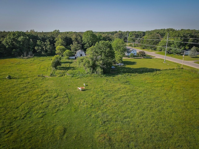 50002 M 51 N, Dowagiac, MI 49047 - drone / aerial view with a view of trees