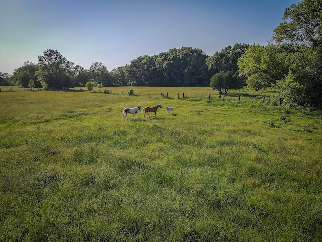 50002 M 51 N, Dowagiac, MI 49047 - view of landscape featuring a rural view
