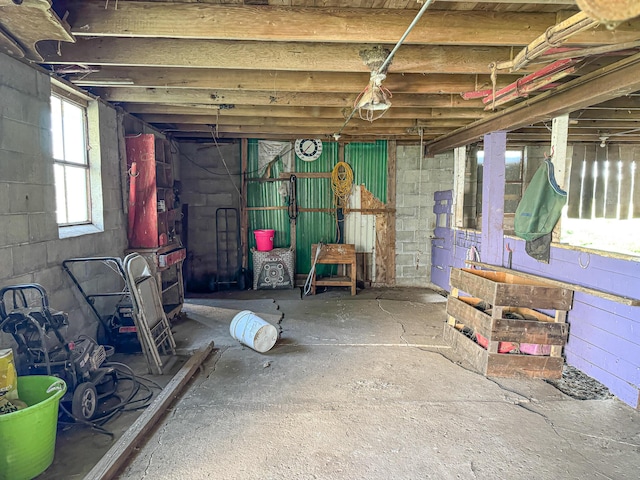 50002 M 51 N, Dowagiac, MI 49047 - view of basement