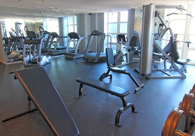 workout area featuring plenty of natural light and rail lighting
