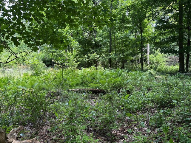 PARCELA Lake Bluff Dr, Arcadia, MI 49613 - photo 12