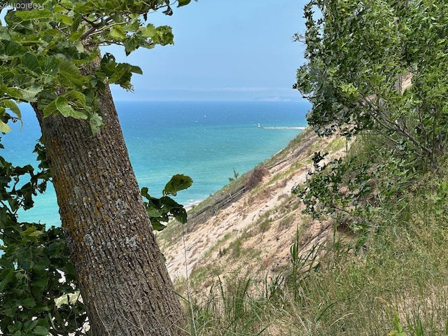 PARCELA Lake Bluff Dr, Arcadia, MI 49613 - photo 15