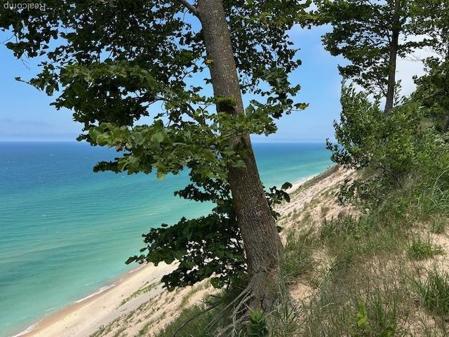 PARCELA Lake Bluff Dr, Arcadia, MI 49613 - photo 16
