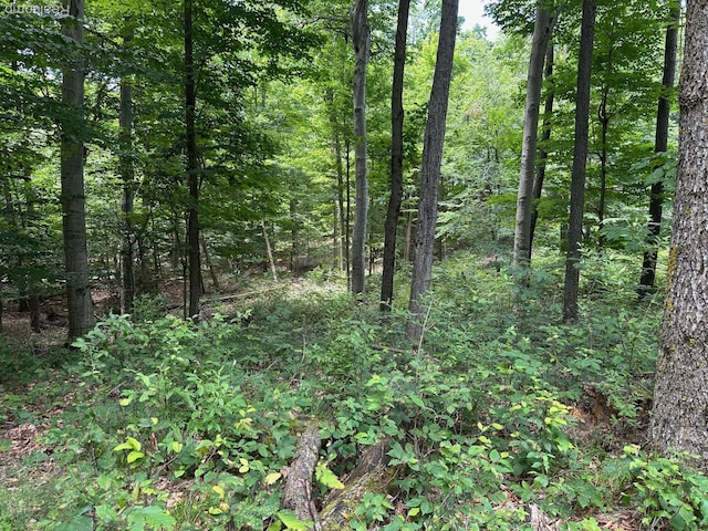 PARCELA Lake Bluff Dr, Arcadia, MI 49613 - photo 13