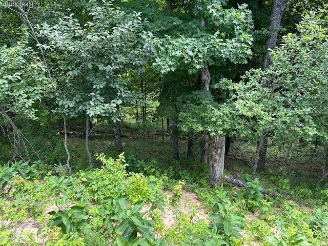 PARCELA Lake Bluff Dr, Arcadia, MI 49613 - photo 3