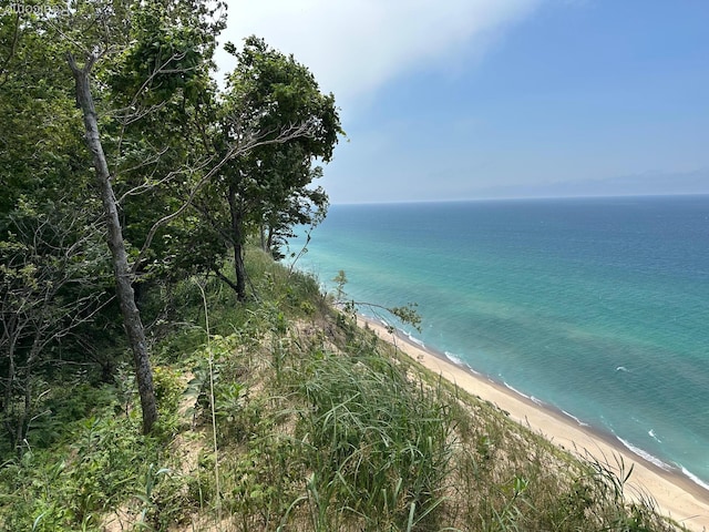 PARCELA Lake Bluff Dr, Arcadia, MI 49613 - photo 19