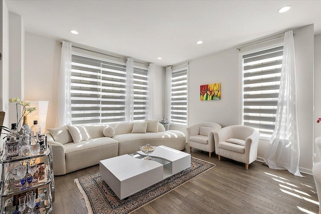 living room featuring recessed lighting and wood finished floors