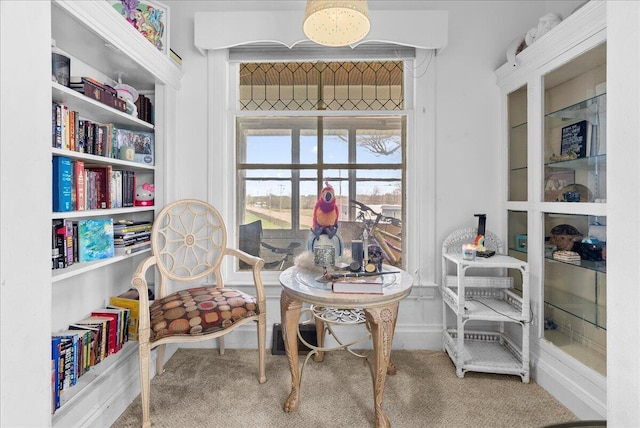 living area with carpet floors and baseboards
