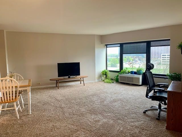 5000 Town Ctr Unit 706, Southfield, MI 48075 - office with carpet floors and baseboards