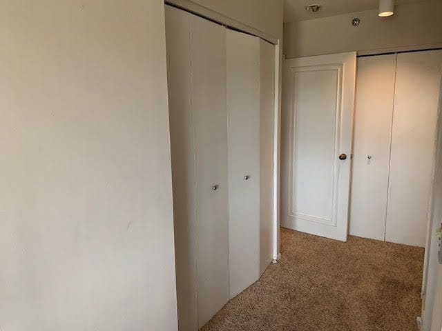 5000 Town Ctr Unit 706, Southfield, MI 48075 - hallway with carpet floors