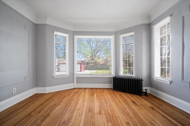 13936 Longacre St, Detroit, MI 48227 - spare room with a healthy amount of sunlight, light wood finished floors, and radiator