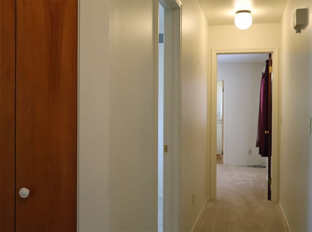 hall featuring light colored carpet