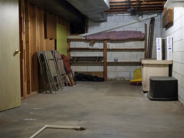 unfinished basement with concrete block wall