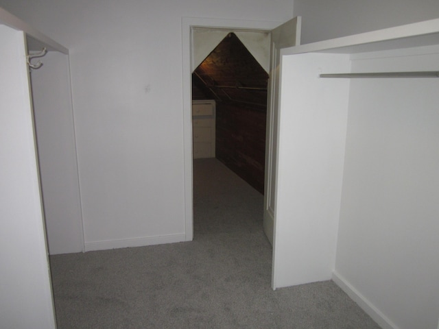 spacious closet with carpet floors