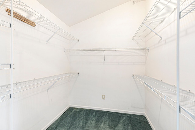 walk in closet featuring dark carpet
