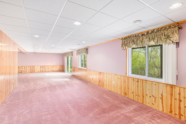 basement with wood walls, wainscoting, and carpet