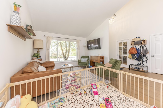 3941 Steamboat Ct, Ann Arbor, MI 48108 - living room featuring lofted ceiling