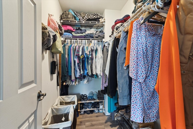 walk in closet featuring wood finished floors