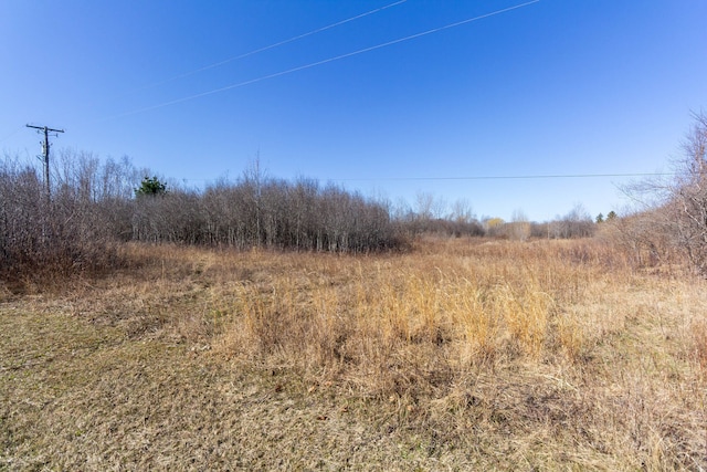 view of local wilderness