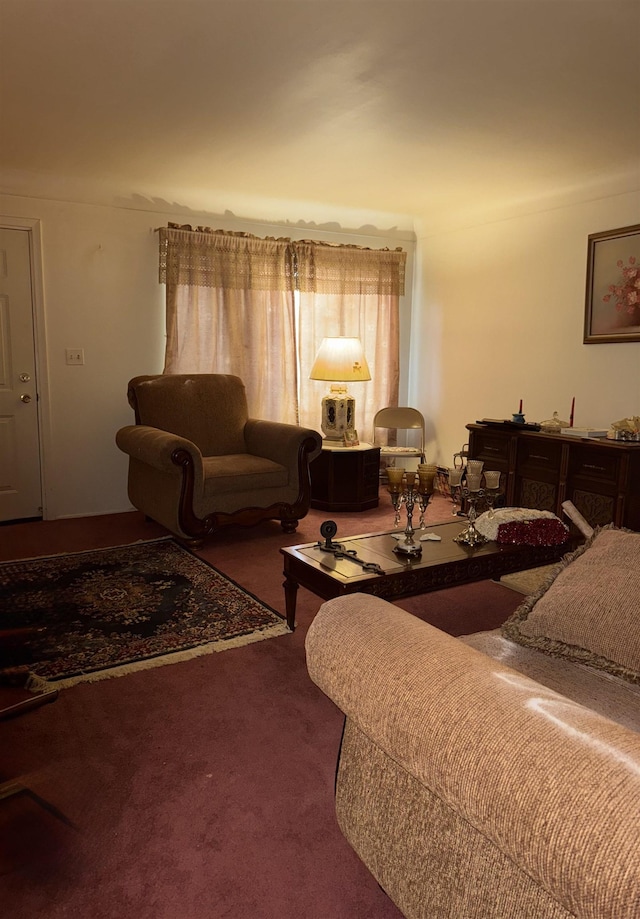living area featuring carpet flooring