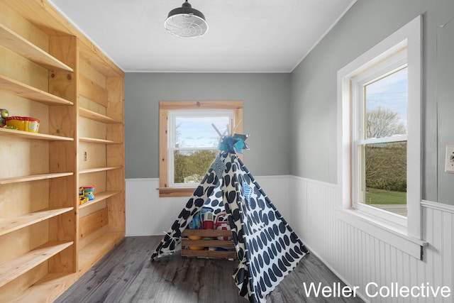 playroom with wood finished floors, crown molding, a wainscoted wall, and a wealth of natural light