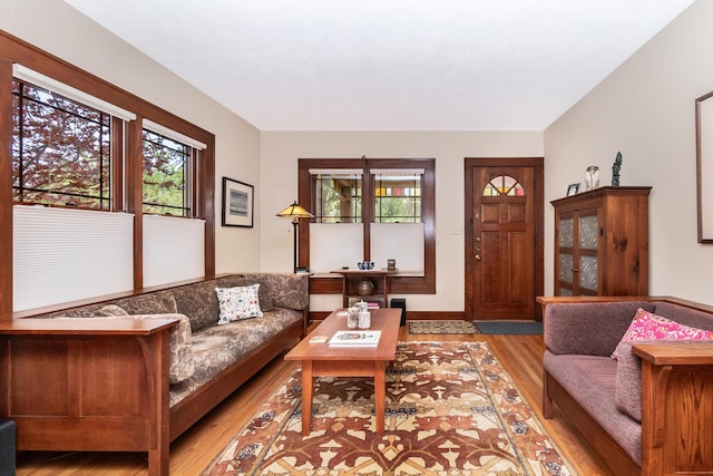 living room featuring baseboards, a wealth of natural light, and wood finished floors