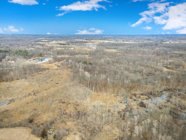 0 Lovejoy Rd, Byron, MI 48418