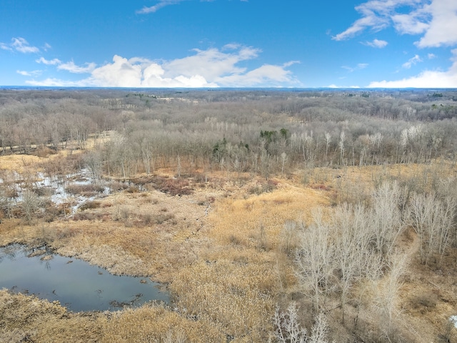 0 Lovejoy Rd, Byron, MI 48418