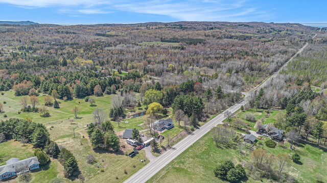 3121 Grace Rd, Frankfort, MI 49635 - aerial overview of property's location featuring a forest