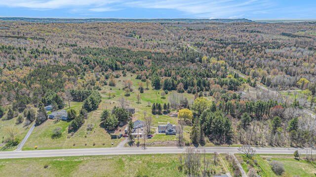 3121 Grace Rd, Frankfort, MI 49635 - aerial overview of property's location with a forest