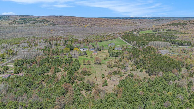 3121 Grace Rd, Frankfort, MI 49635 - aerial overview of property's location with a heavily wooded area